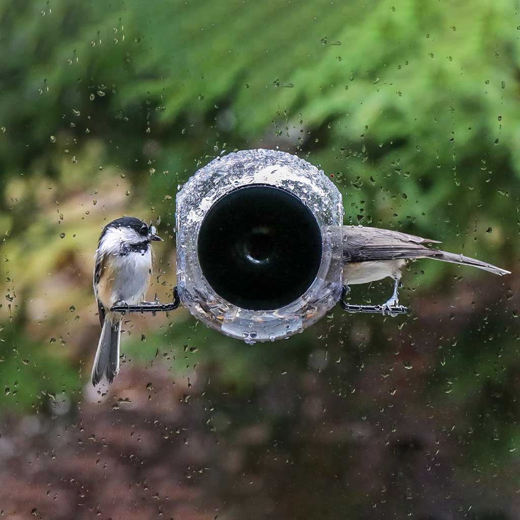 Kitchen Window Bird Feeder