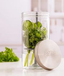 Fresh Herb Keeper Glass