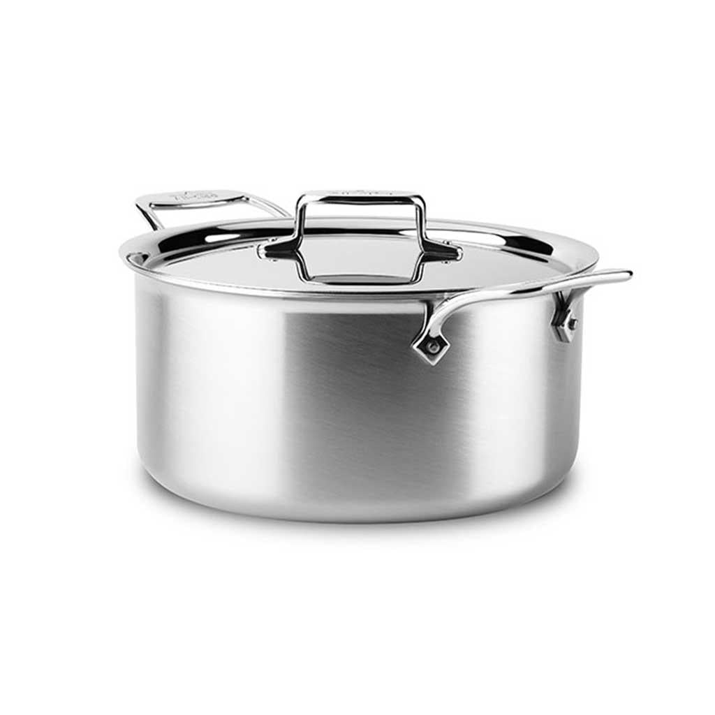 ALL Clad D5 8 Qt Stock Pot